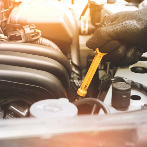 Oil Change & Fluids